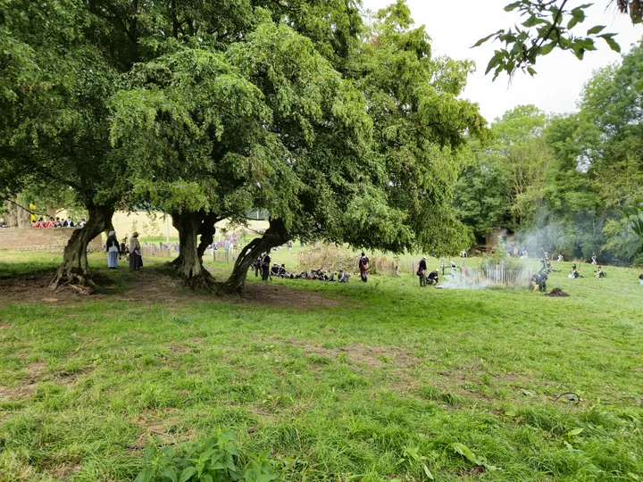 Battle of Waterloo Reenacting (Belgium)